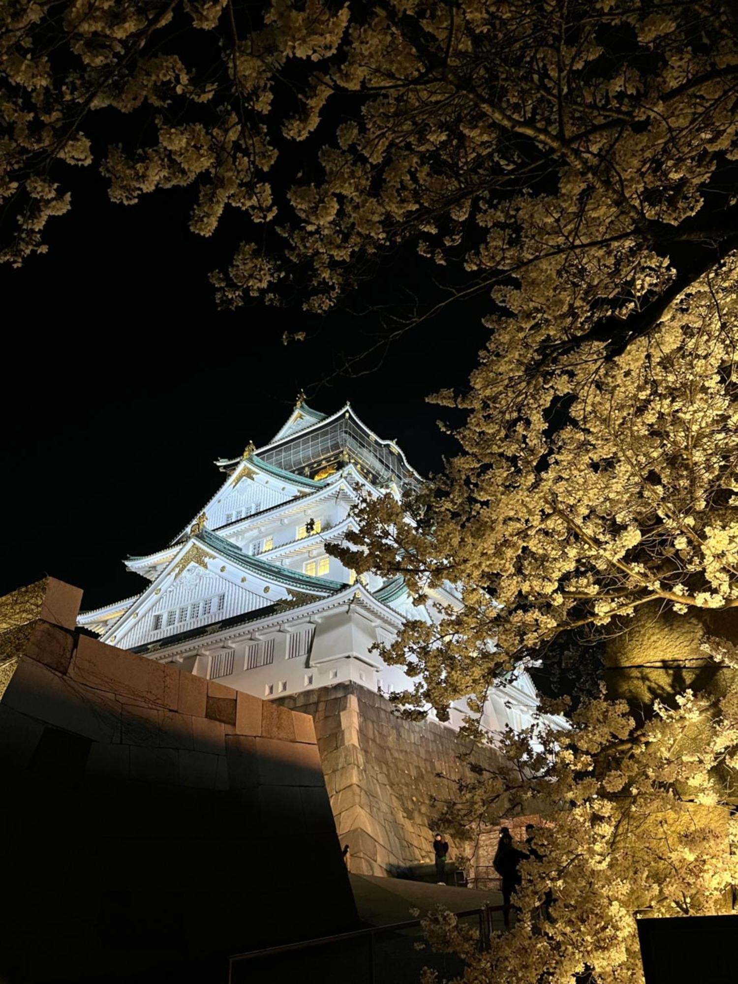 Guesthouse Atelier Ten 民泊アトリエ天 Ōsaka Eksteriør bilde